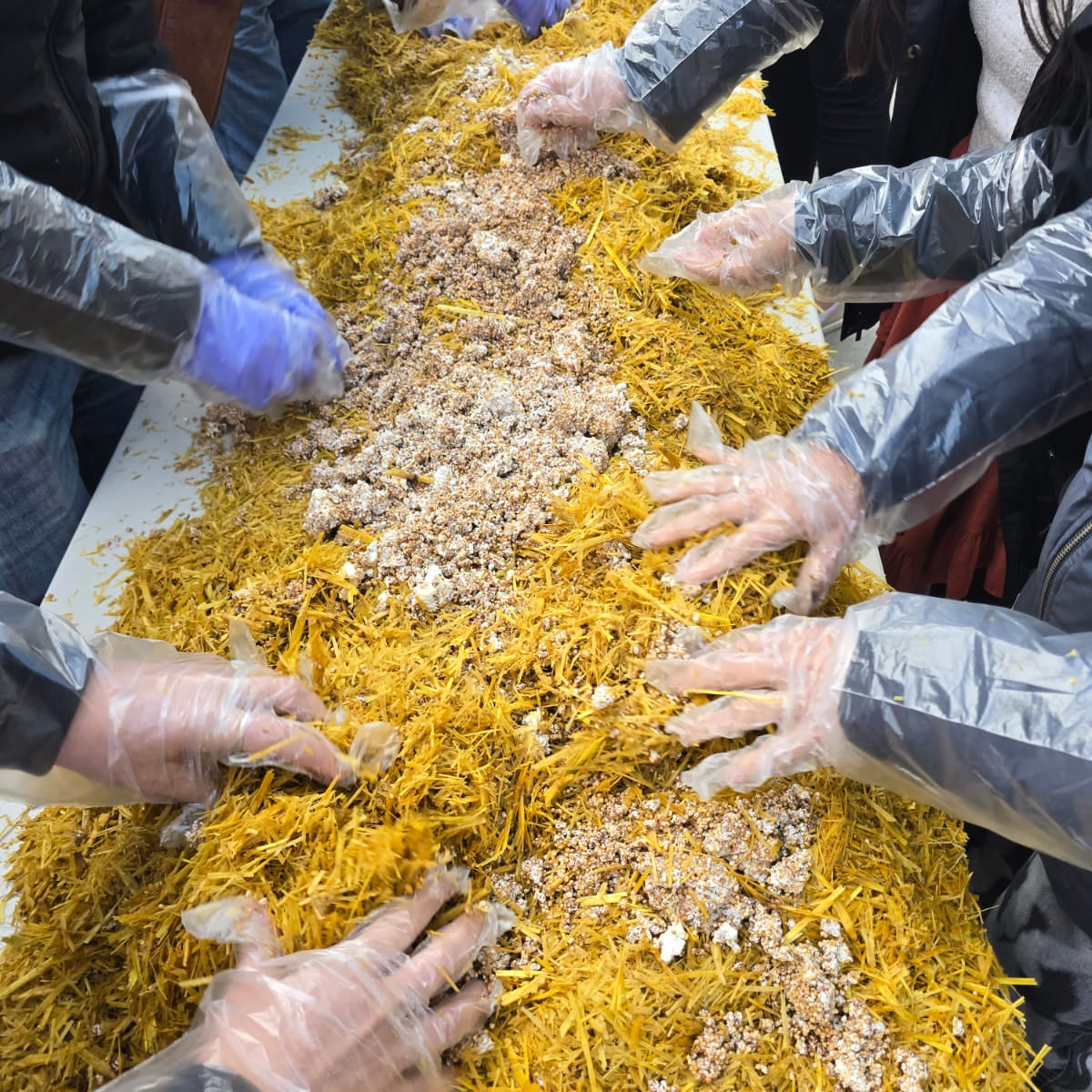 6/19 Mushroom Cultivation Workshop at New Helvetia