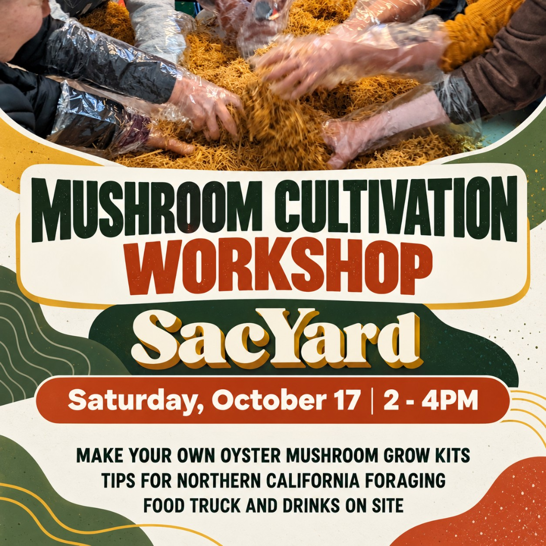 10/17 Mushroom Cultivation Workshop at SacYard
